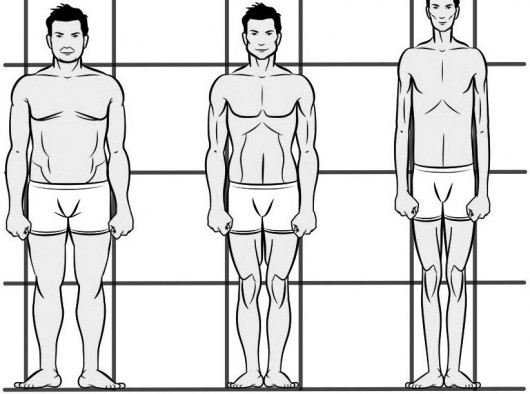 Men: How To Train For Your Specific Body Type - Top.me